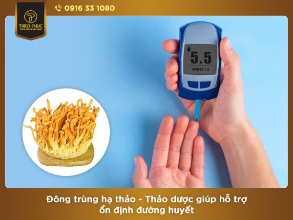 Đông trùng hạ thảo 