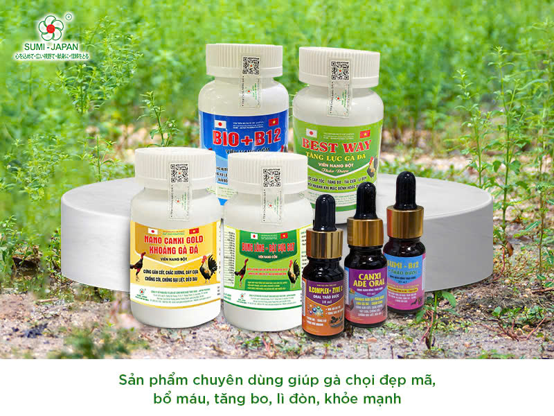 thức ăn cho gà đá